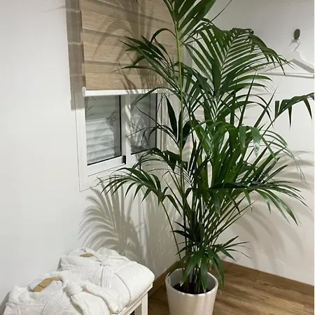 Loft Ben A Ocaz *